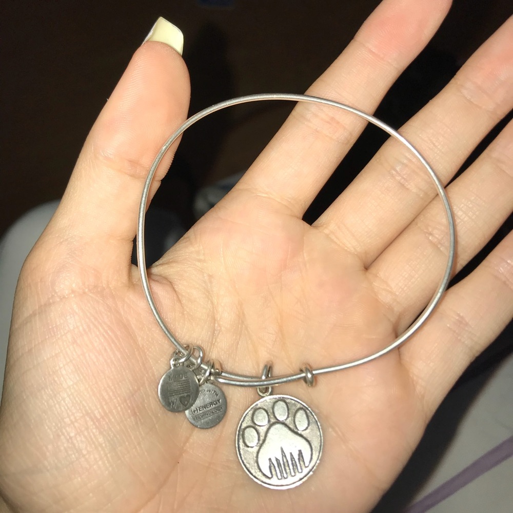 Alex and ani bracelet